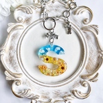 【シルバー】S③🌻