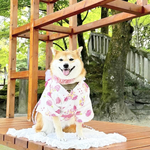 【犬服ゆかたセミオーダー】中型犬浴衣 オーダー浴衣🍉