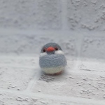 羊毛文鳥さん（シルバー文鳥）