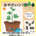 おやさいシアター　春夏　栽培　野菜　食育　保育教材