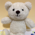 ふわっとにこっとしろくまくん🐻‍❄️