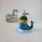 小島くじら〈さびなんどいろ〉