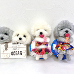 ♡kogonta様専用ページです♡