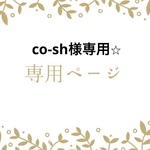 co-sh様専用です☆