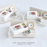 ③ケース入りミニチュアカラフルマカロン(10pieces)