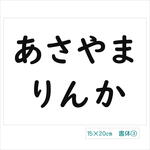*♡【15×20cm 1枚】アイロン接着タイプ・ゼッケン・ホワイト・入園入学・体操服・No60