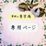 miyuking929様  専用ページです（他の方はご購入できませんのでご注意下さい）