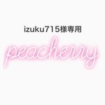 ネイルチップ izuku715様専用出品