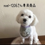 犬用スタイ・お名前スタイ