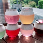 【誕生日】溶けないアイスゼリー缶　夏　フルーツ　あにまる工房