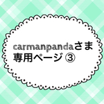 carmanpandaさま専用ページ③