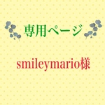 こちらは専用ページになります