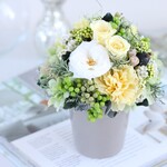 citron(シトロン) プリザーブドフラワー　イエロー　誕生日・結婚祝い・退職祝い