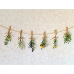 ドライフラワー ガーランド　緑 3