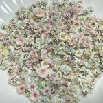 淡い系かすみ草ドライフラワー