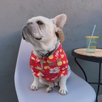 オーダー犬服 コットン100 襟付きトップス アロハ