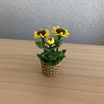 ひまわり　籠模様の鉢　2