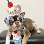 再販‼️犬用＆猫用 白くまクリームソーダ 被り物