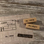 【Renewal】[2個セット] 枠のお供 ナンバリングセット-A ナチュラルver. - Numbering Set-A Natural ver. - [ラバースタンプ]