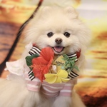 ハイビスカスアレンジメント🌺トロピカルボリューミーチョーカー🏝️レッド