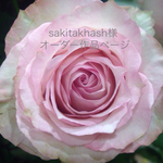 sakitakhash様オーダー作品ページ