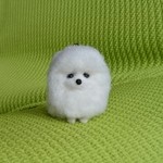 aさまご依頼品  羊毛フェルト 