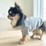 オーガニックコットンの半袖トレーナー【lavie】犬服