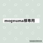 ラミネートの小さなお財布☆mognuma様専用