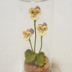 ビオラ【ガラスボトルのお花たち】