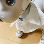 シャツ風スタイ（綿レース生地B）