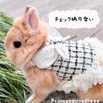 💐Princessdogdress💐小動物、ウサギ　モルモット　子猫　子犬　ペット　ハーネスDカン付　お散歩