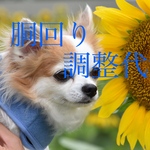 ⭐︎着物・浴衣⭐︎胴回り調整代
