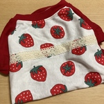 完成品　Tシャツ　ダックスサイズ