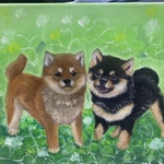 専用 オーダー品 油彩画 柴犬 F4サイズ 