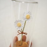 マーガレット【ガラスボトルのお花たち】