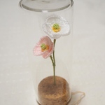 ポピー【ガラスボトルのお花たち】