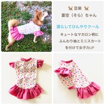 胴長小型犬  DSサイズ 🉐現品🉐  