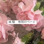 特注ネイルチップ