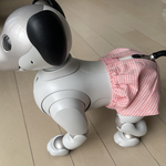 ピンクチェックおぱんつ