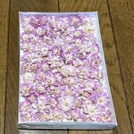 ⑦   macoronが作った可愛いピンクのミニバラのドライフラワー‼️