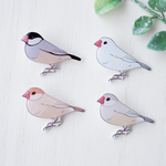 文鳥のピンバッチ（№３）