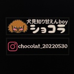 ryukimam様専用ページ