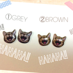 トラ猫ちゃんのピアス