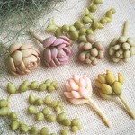 【noopi123様オーダー品】カット苗のフェイク多肉植物２種
