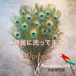 ❤️【クジャク 10枚】 ❤️高品質 ❤️孔雀の羽根❤️ 目玉 ハンドメイド アクセサリー 装飾　羽　素材　鳥　パーツ