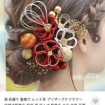 ꕤ 専用 ꕤ 計６点　　　髪飾り レッド系 プリザーブドフラワー 結婚式髪飾り 和装 袴 成人式 髪飾り 水引 金箔 卒業式 髪飾り 水引髪飾り