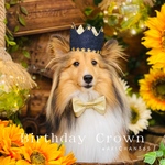 ミニ バースデークラウン デニム 淡ゴールド 星 犬 猫 うさぎ フリル ハーフバースデー 100日 誕生日 王冠 ペット 