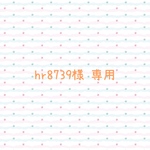 【hr8739様専用】 ペンケース ワイヤー口金ポーチ 計2点