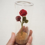 赤い薔薇【ガラスボトルのお花たち】