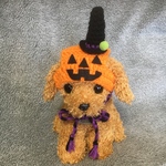 ハロウィン🎃カボチャの帽子🎃小型犬用帽子・猫用帽子